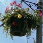 Flower Baskets Llangeinor